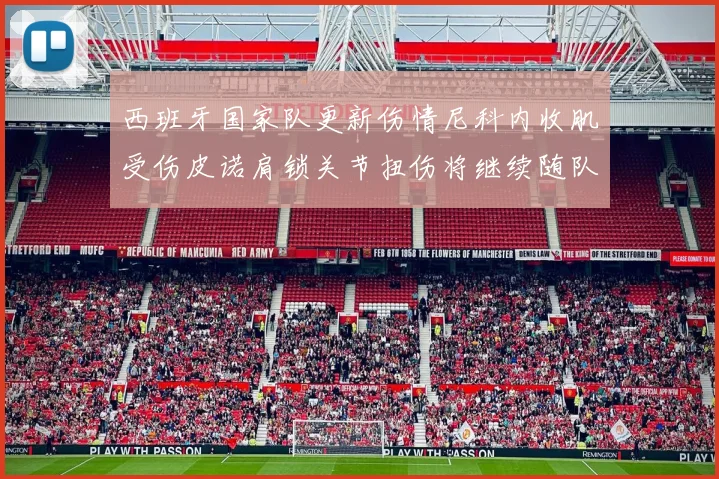 西班牙国家队更新伤情尼科内收肌受伤皮诺肩锁关节扭伤将继续随队训练
